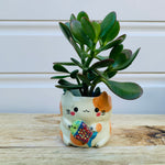 Small spotty cat with fish friend planter