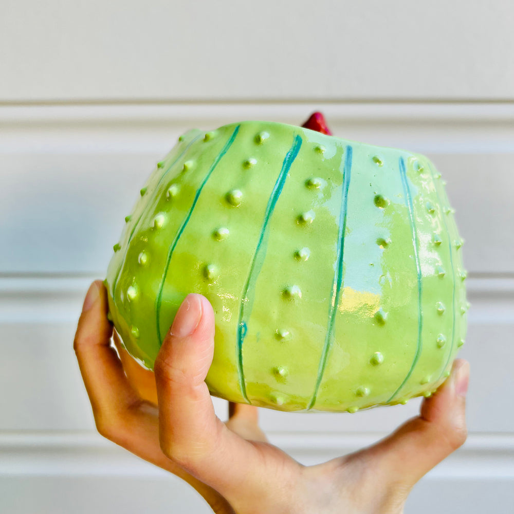Flower crown cactus pot with watermelon friends, photo 4 of 5