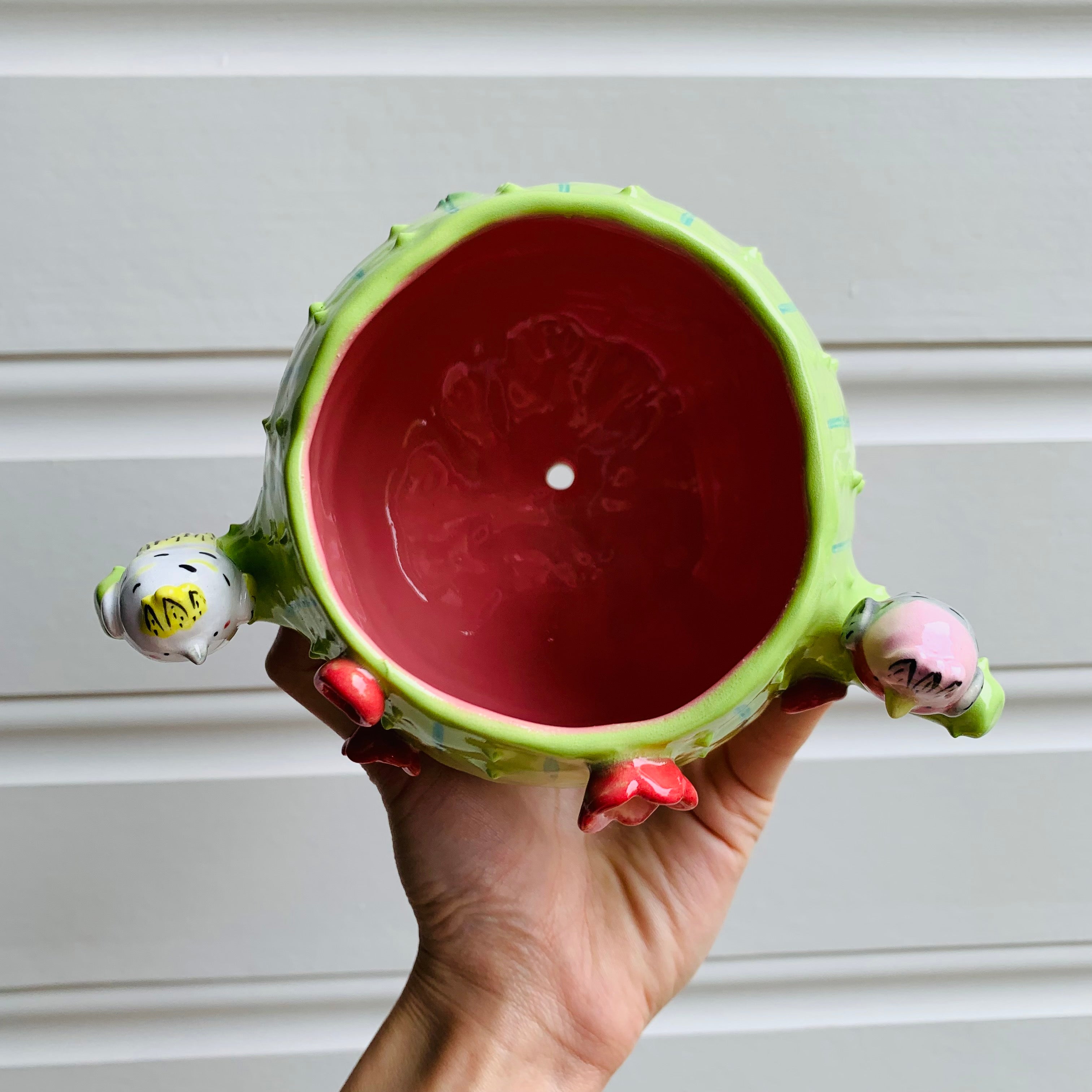 Flowery cactus pot with Aussie bird friends