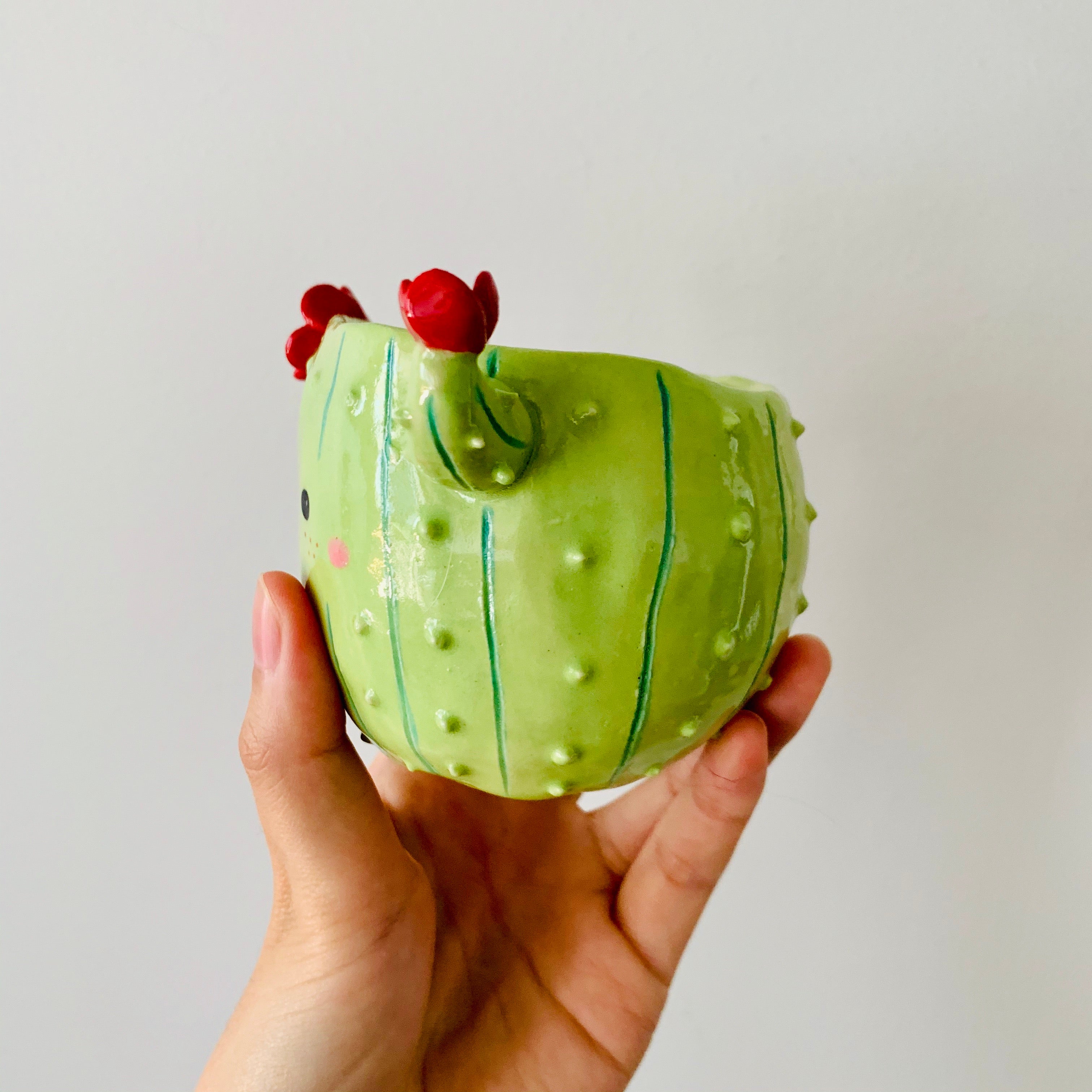Flowery cactus pot