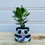 Small panda with seahorse friend planter