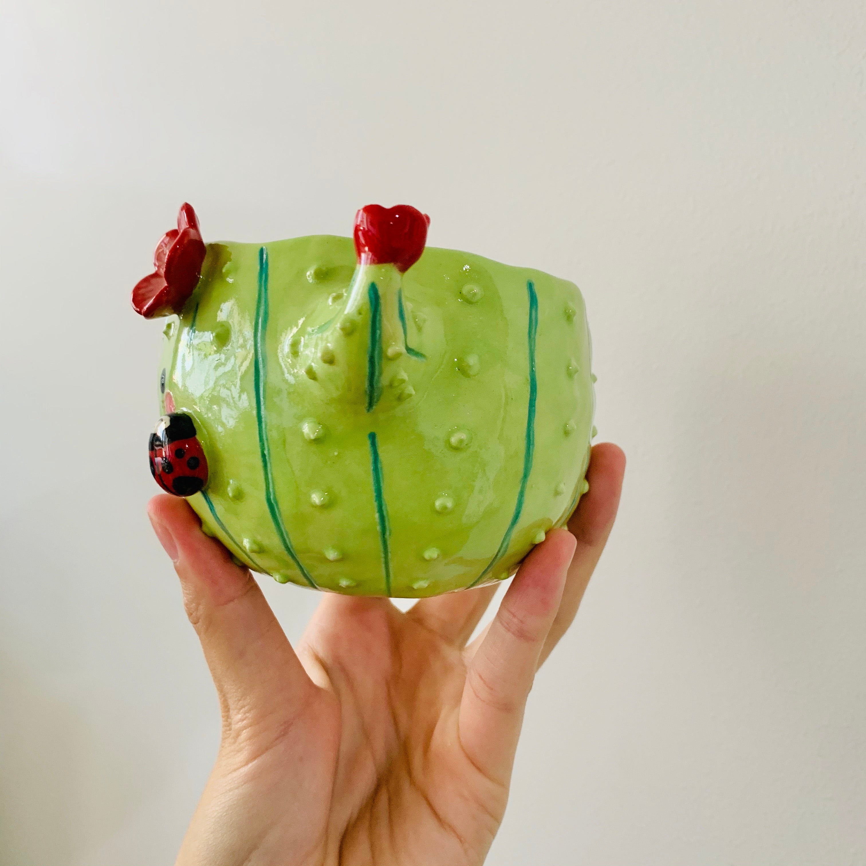 Flowery cactus pot with lady bug friends