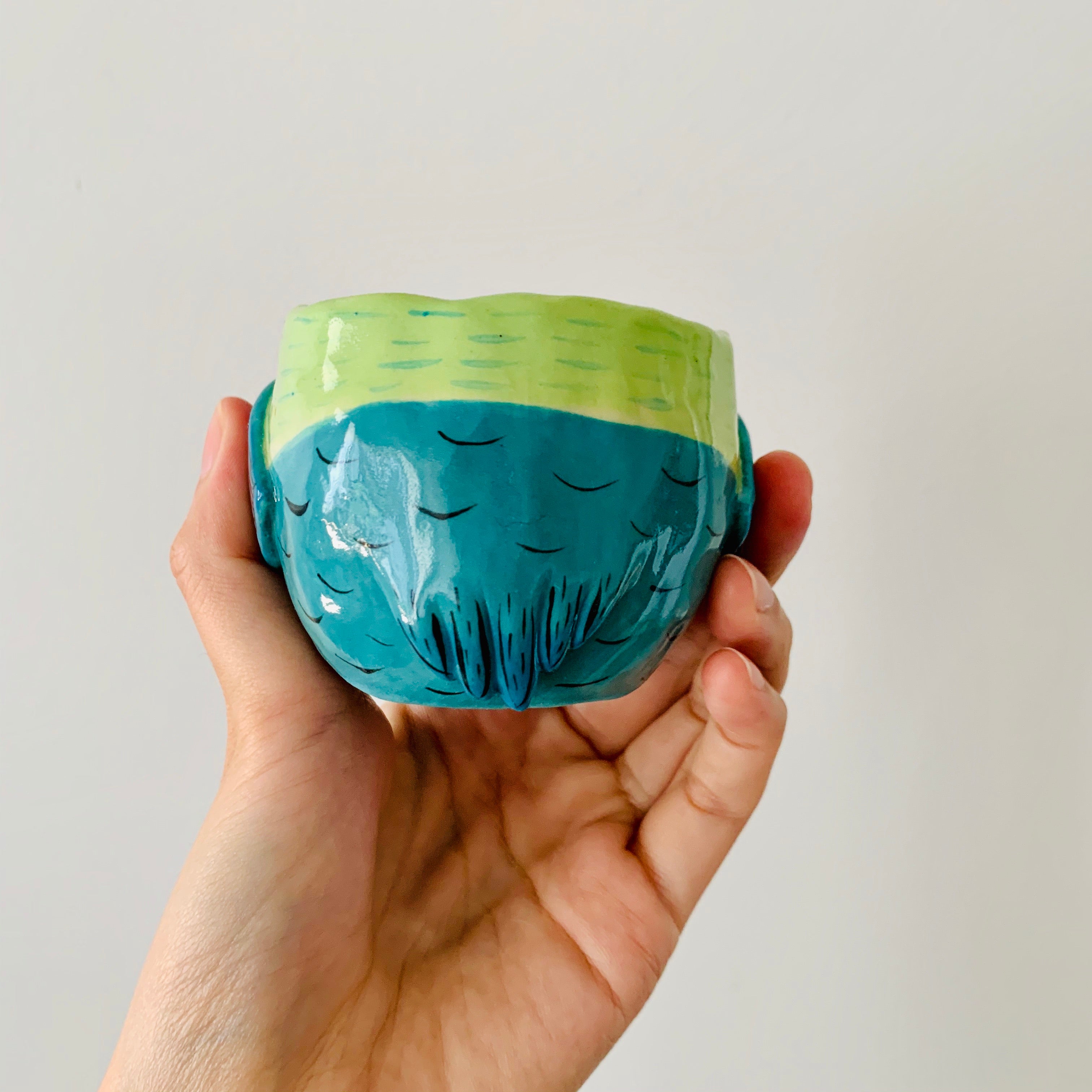 Rainbow lorikeet pot