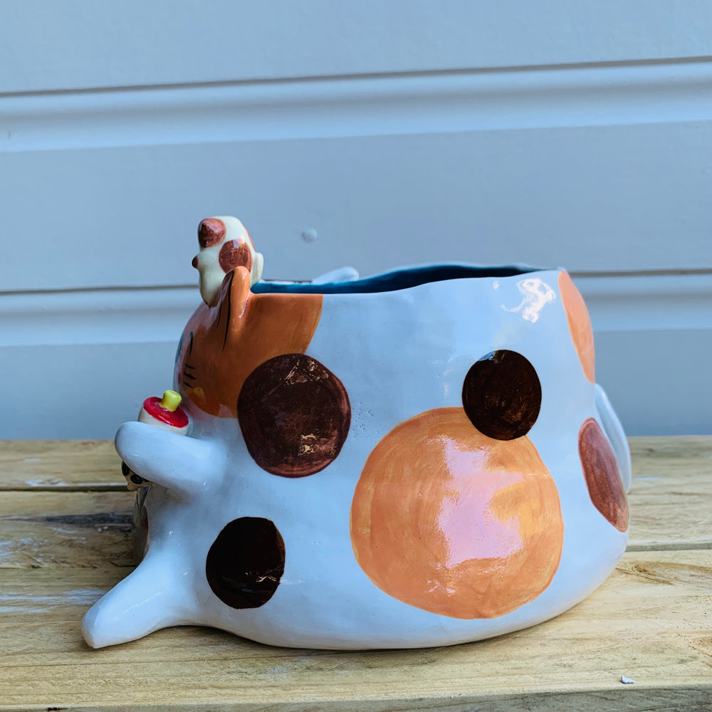 BIG CHUBBY Cat with snack friends, photo 7 of 8