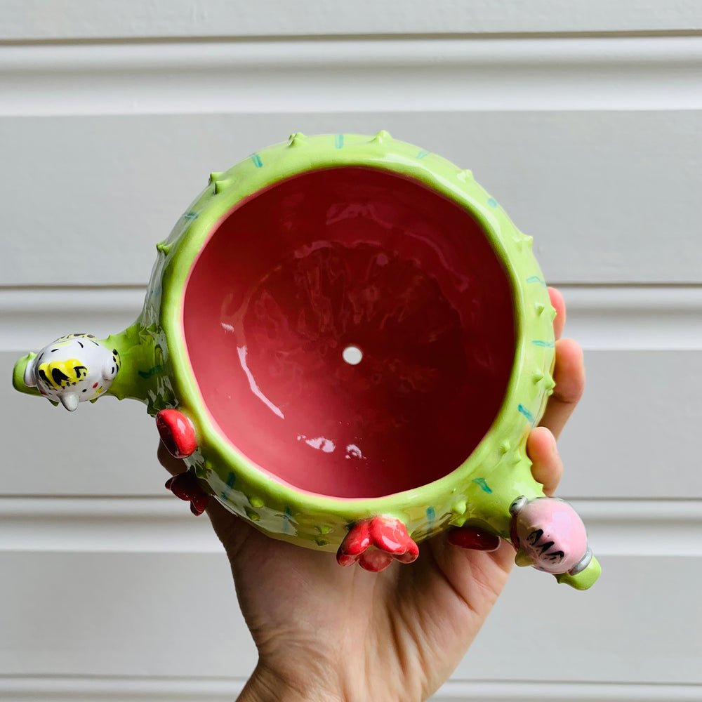 Flowery cactus pot with Aussie bird friends, photo 6 of 7