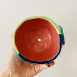 Rainbow lorikeet pot
