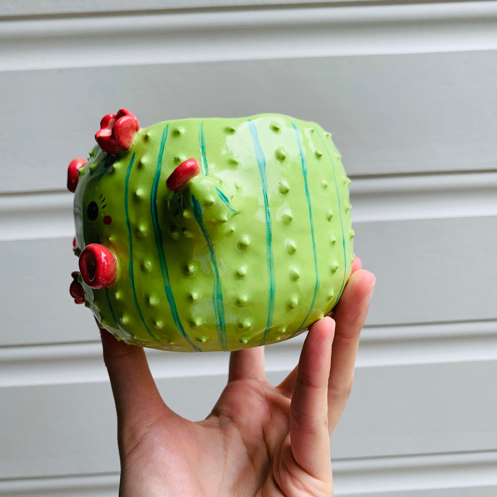 Flowery cactus pot, photo 4 of 9