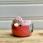 Pink Galah Pot