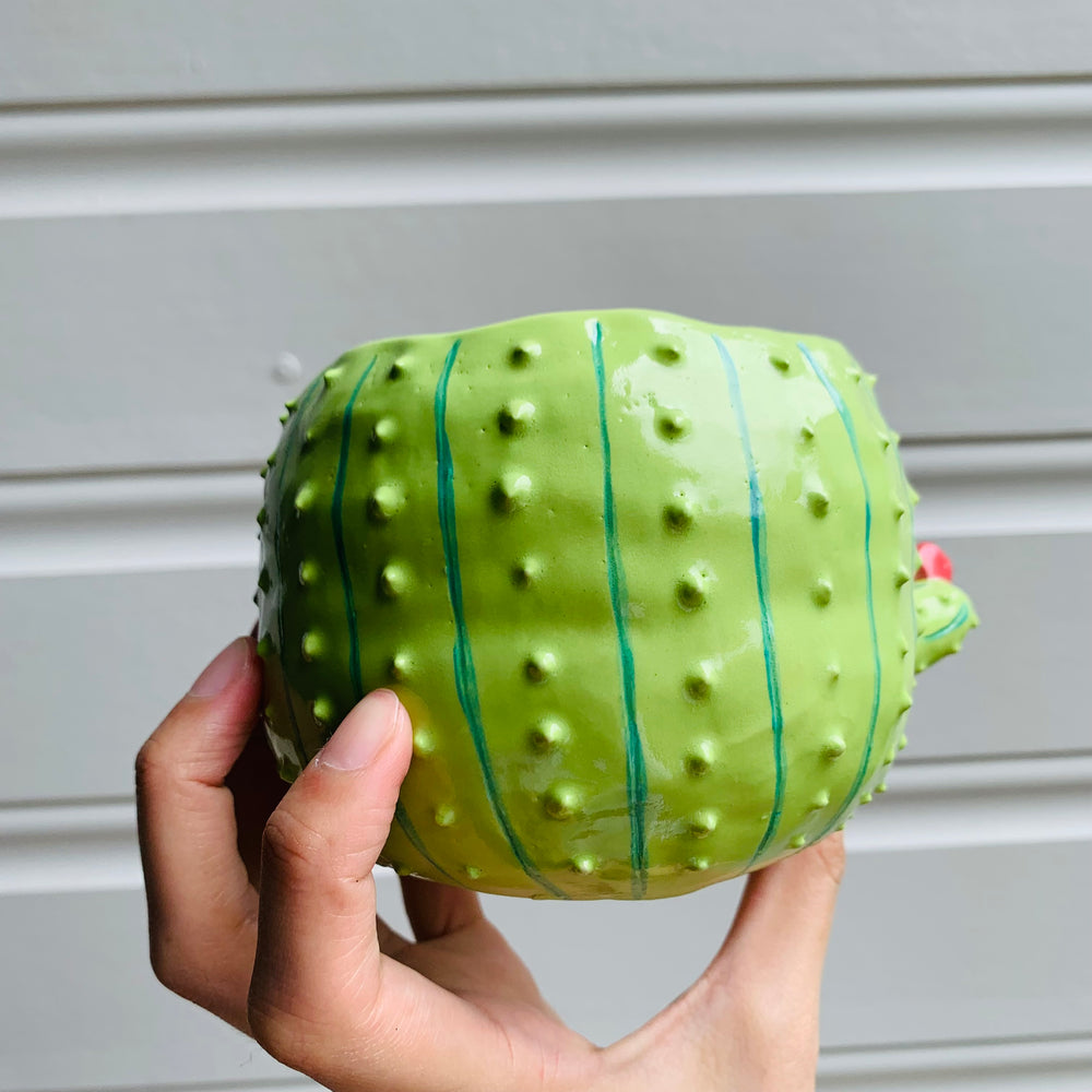 Flowery cactus pot, photo 5 of 9