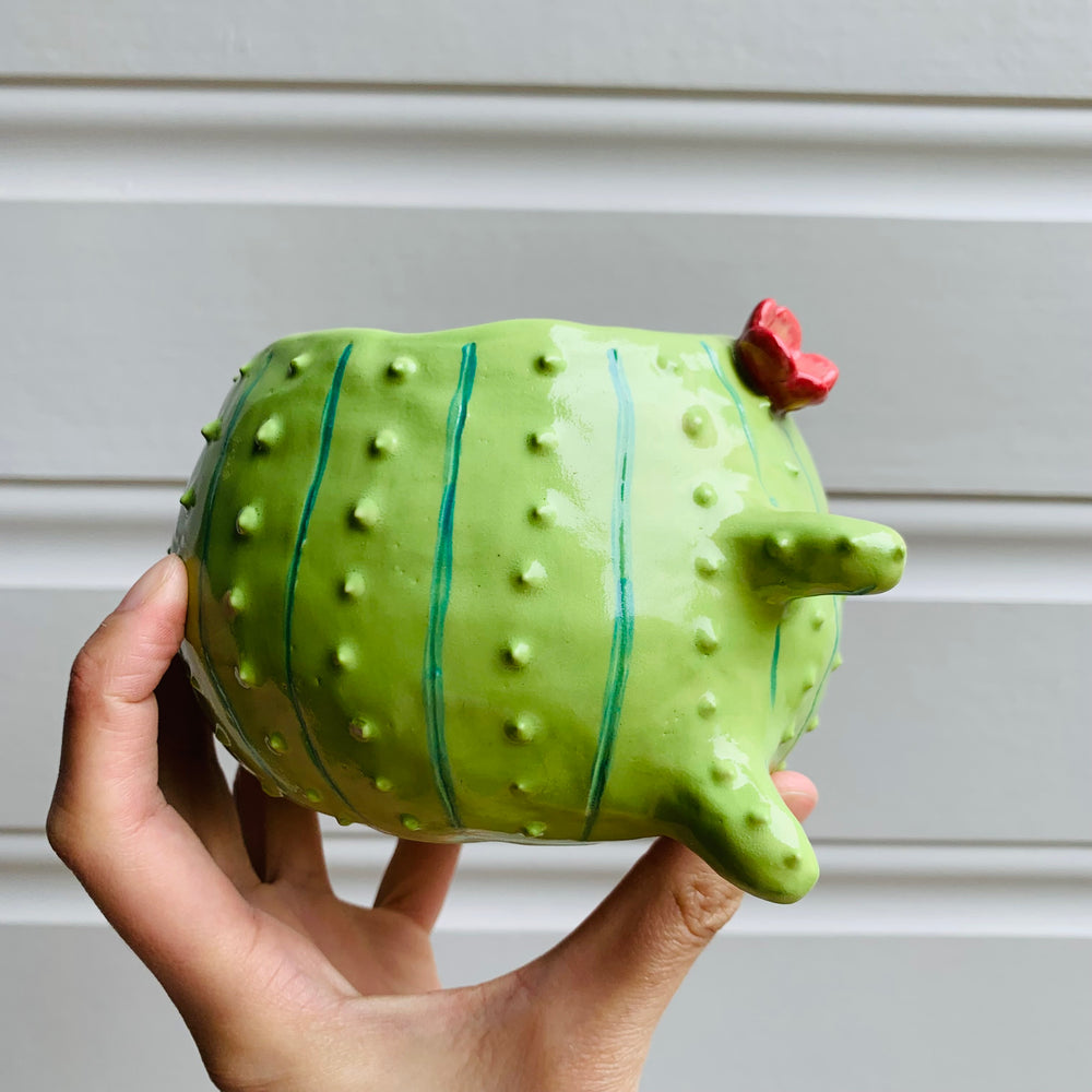 Rotund flowery pot cactus Totoro friend, photo 4 of 6