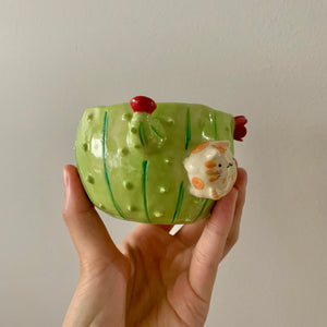 Flowery cactus pot with cat friend