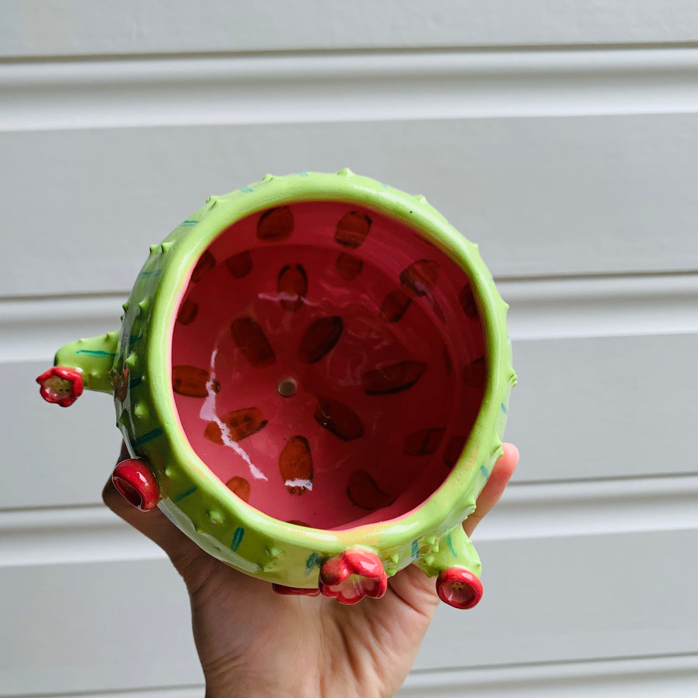 Flowery cactus pot, photo 5 of 9