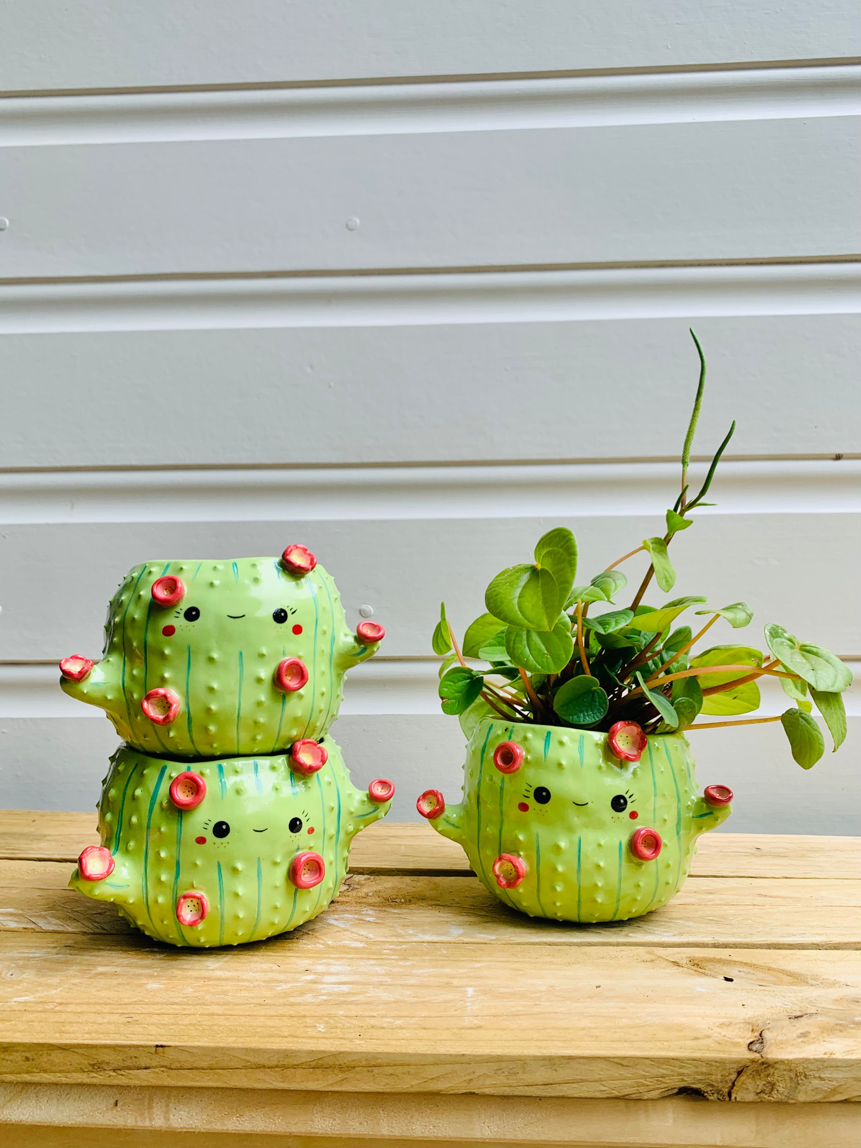 Flowery cactus pot